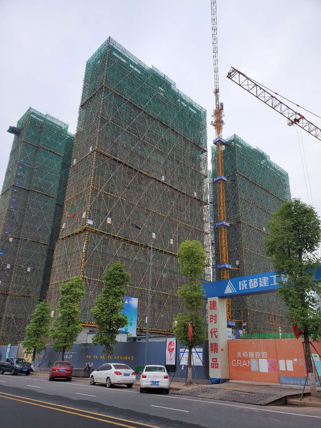 1598167129820659.jpg 中粮图片.jpg